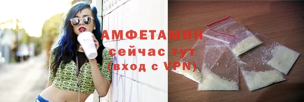 гидра Богданович