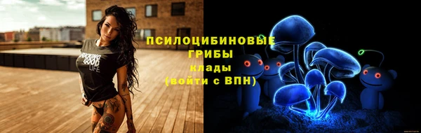 jwh Богородицк