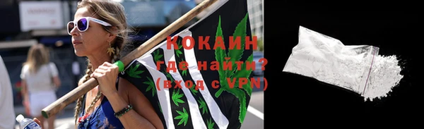 гидра Богданович