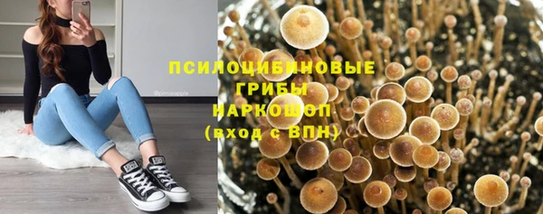 хмурый Богородск