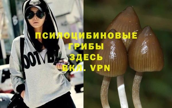 бошки Верхний Тагил