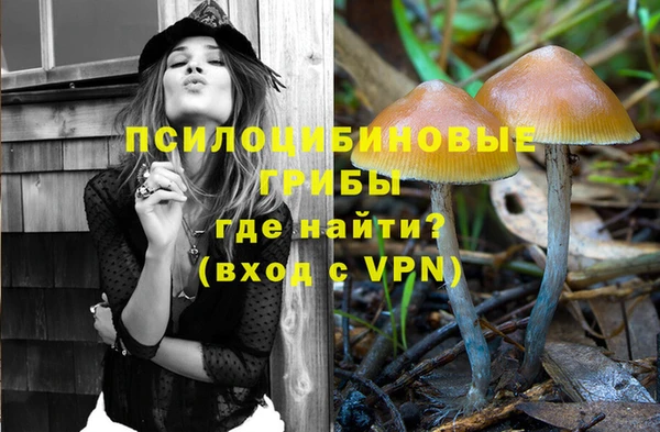 бошки Верхний Тагил