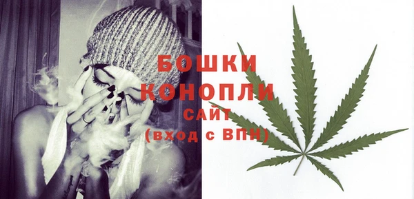 гидра Богданович
