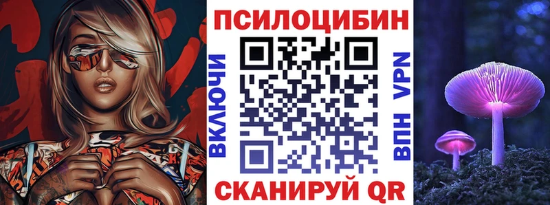 Галлюциногенные грибы MAGIC MUSHROOMS  цены наркотик  Карабулак 